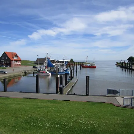 Seeadler 30 *